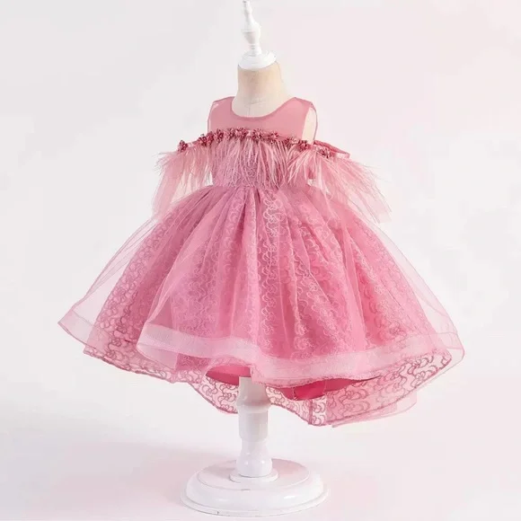 Luxury Pink Feather Lace Embroidered Dress 5046 - Picture 2 of 7